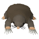 Rare Mole emoji
