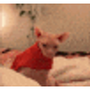 Loathing Sphynx emoji