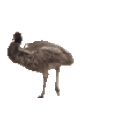 Emonope0 emoji