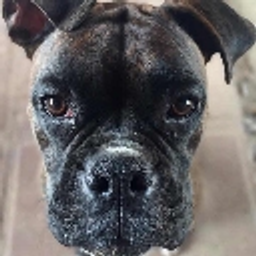 Doggo emoji