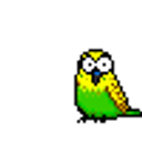 Bird Moving emoji