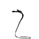 Whipl emoji