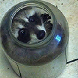 Raccoonstuck emoji
