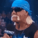 Hulk Hogan Nod Fast emoji
