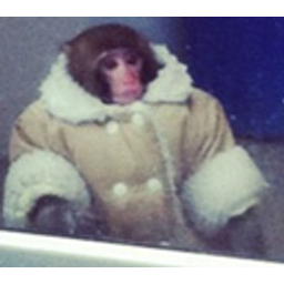 Mood Monke emoji