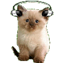 Jam Kitty emoji