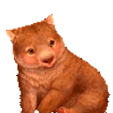 Party Wombat emoji