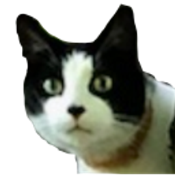 Caaat emoji