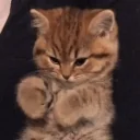 Uhmhiii emoji