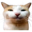 Blehhh emoji