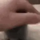 Catpat emoji