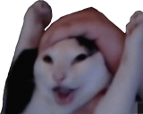 Wahoo emoji