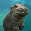 Babyhippo emoji