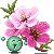 Peach Blossum emoji