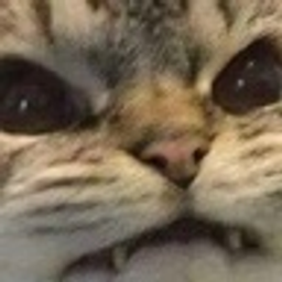 Cat Closeup Squinting emoji