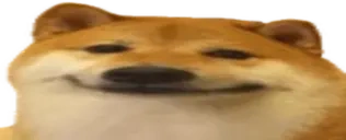 Widedoge emoji