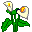 Calla Lilly emoji