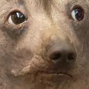 Creatureconcerned emoji