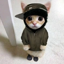 Yeatcat emoji