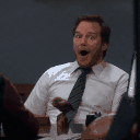 Andy Parks And Rec emoji