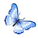 Blue Butterfly emoji