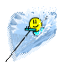 Wakeboard emoji