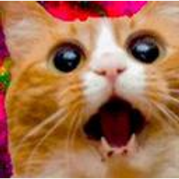 Space Cat emoji