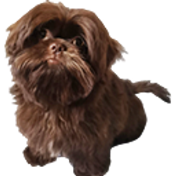 Fluffy Dog Head Tilt emoji