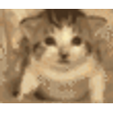 Exploded Cat emoji