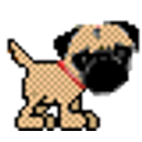 Pug Tailwag emoji