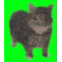 Cat Pencils Curious emoji