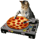 Dj Pizza Cat emoji