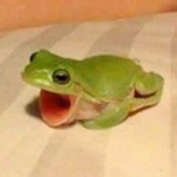 Froggiescream emoji
