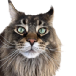 Ollie0 emoji