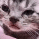 Crying Kitten Min emoji
