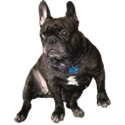 French Bulldog emoji