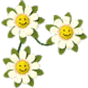 Chamomilla emoji