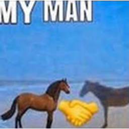 Horse Shadow Handshake emoji
