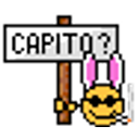Capito Bunny emoji
