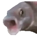 Pogfish emoji