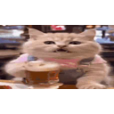 Beercat emoji