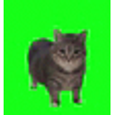 Spinning Cat Brainrot emoji