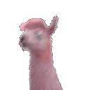 Headbangllama emoji
