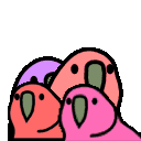 Quad Parrot emoji
