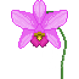 Orchid emoji