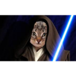 Catsw emoji