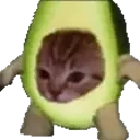 Avacatospin emoji