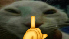 Shdd emoji