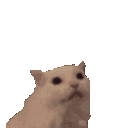 Meow Hearts emoji