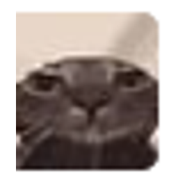 Soggycat emoji